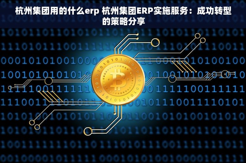 杭州集团用的什么erp 杭州集团ERP实施服务：成功转型的策略分享