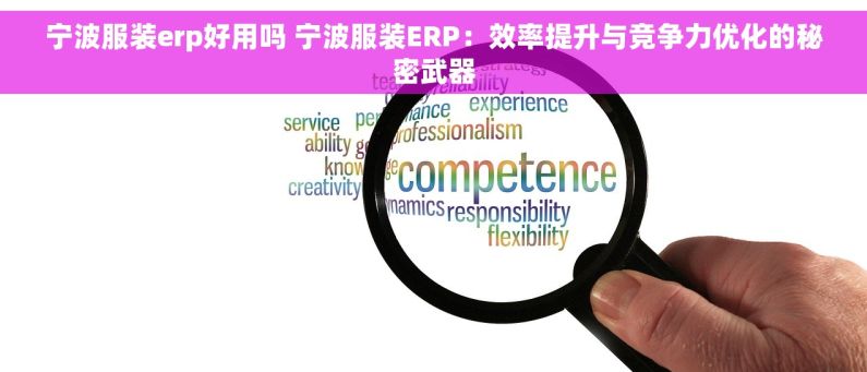 宁波服装erp好用吗 宁波服装ERP：效率提升与竞争力优化的秘密武器