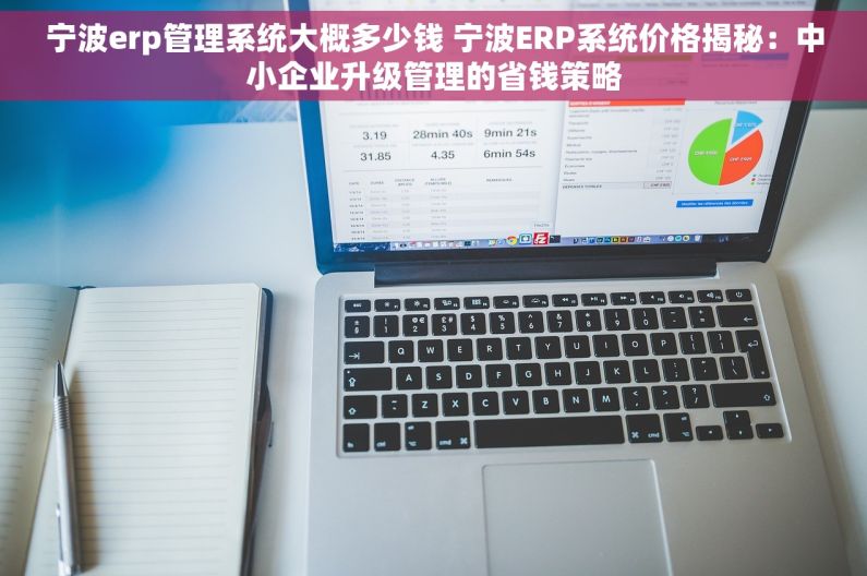 宁波erp管理系统大概多少钱 宁波ERP系统价格揭秘：中小企业升级管理的省钱策略