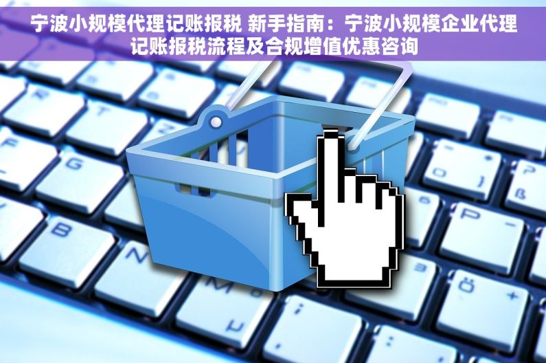 宁波小规模代理记账报税 新手指南：宁波小规模企业代理记账报税流程及合规增值优惠咨询