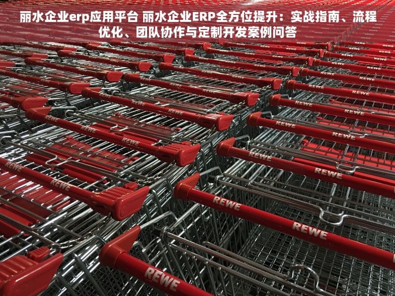 丽水企业erp应用平台 丽水企业ERP全方位提升：实战指南、流程优化、团队协作与定制开发案例问答