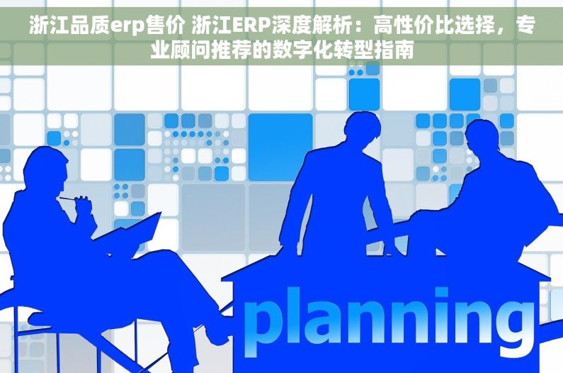 浙江品质erp售价 浙江ERP深度解析：高性价比选择，专业顾问推荐的数字化转型指南