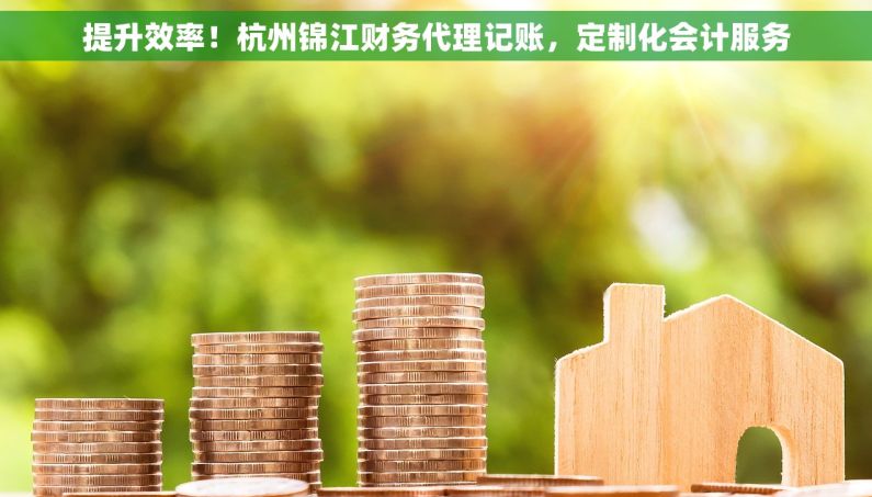 提升效率！杭州锦江财务代理记账，定制化会计服务