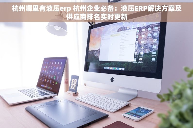 杭州哪里有液压erp 杭州企业必备：液压ERP解决方案及供应商排名实时更新