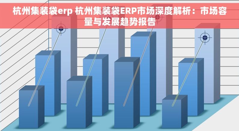 杭州集装袋erp 杭州集装袋ERP市场深度解析：市场容量与发展趋势报告