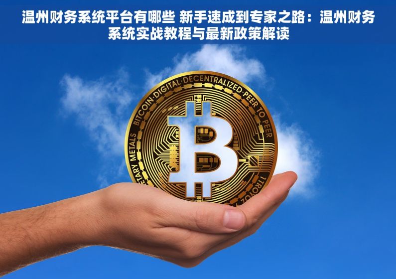 温州财务系统平台有哪些 新手速成到专家之路：温州财务系统实战教程与最新政策解读