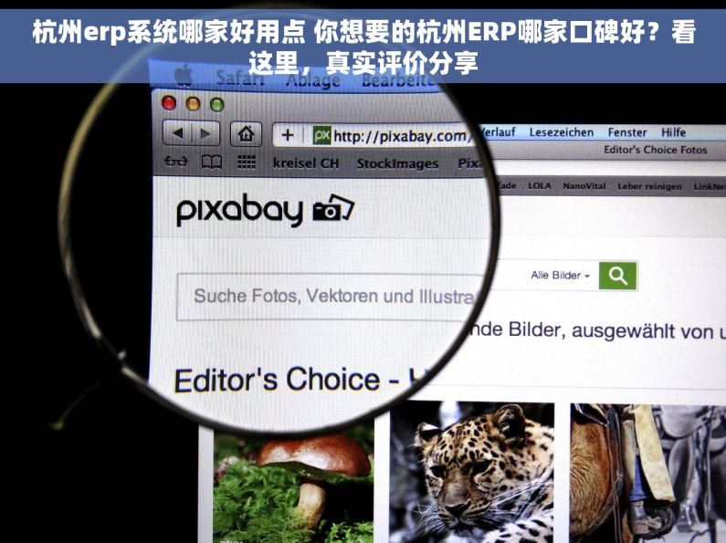 杭州erp系统哪家好用点 你想要的杭州ERP哪家口碑好？看这里，真实评价分享