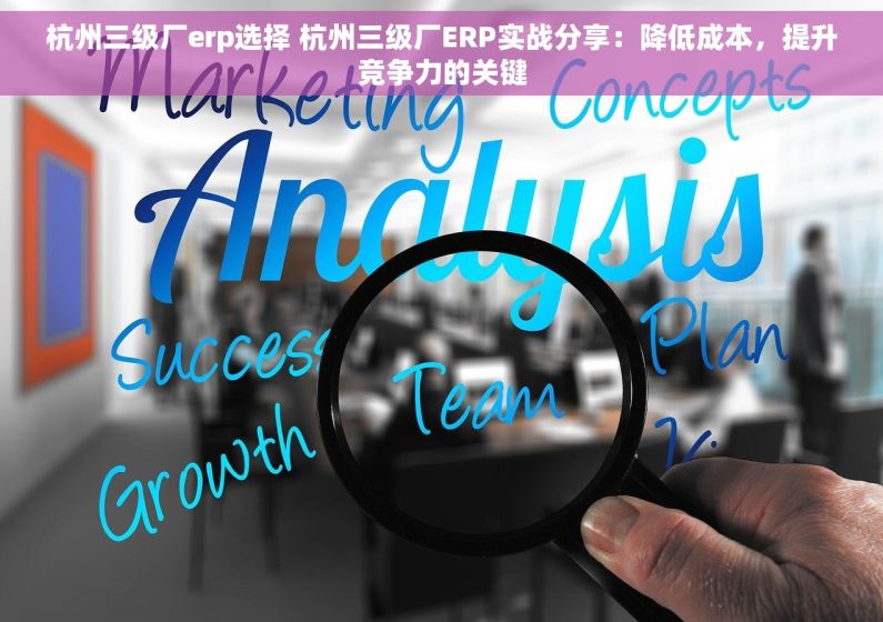 杭州三级厂erp选择 杭州三级厂ERP实战分享：降低成本，提升竞争力的关键