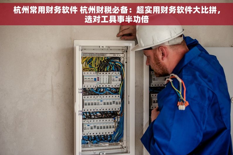 杭州常用财务软件 杭州财税必备：超实用财务软件大比拼，选对工具事半功倍