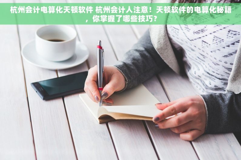 杭州会计电算化天顿软件 杭州会计人注意！天顿软件的电算化秘籍，你掌握了哪些技巧？