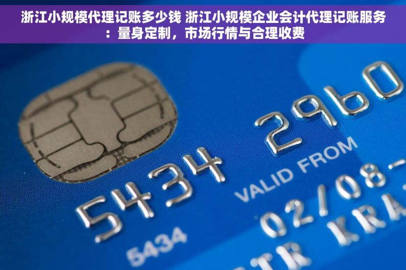 浙江小规模代理记账多少钱 浙江小规模企业会计代理记账服务：量身定制，市场行情与合理收费