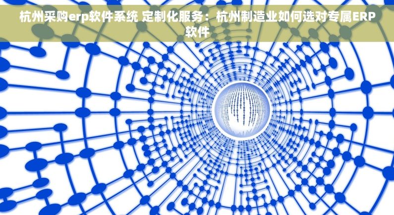 杭州采购erp软件系统 定制化服务：杭州制造业如何选对专属ERP软件
