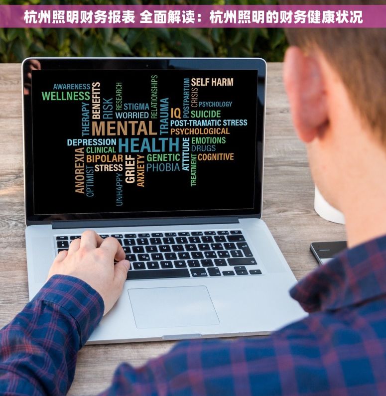 杭州照明财务报表 全面解读：杭州照明的财务健康状况