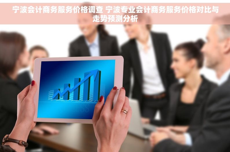 宁波会计商务服务价格调查 宁波专业会计商务服务价格对比与走势预测分析
