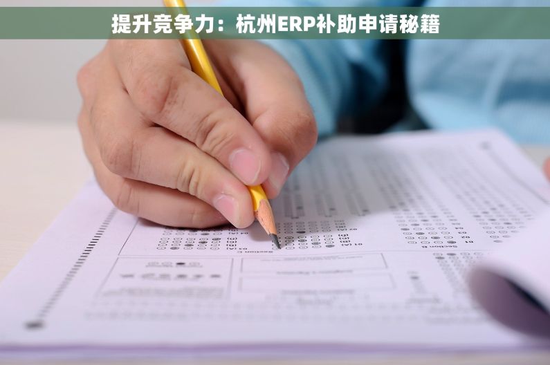 提升竞争力：杭州ERP补助申请秘籍