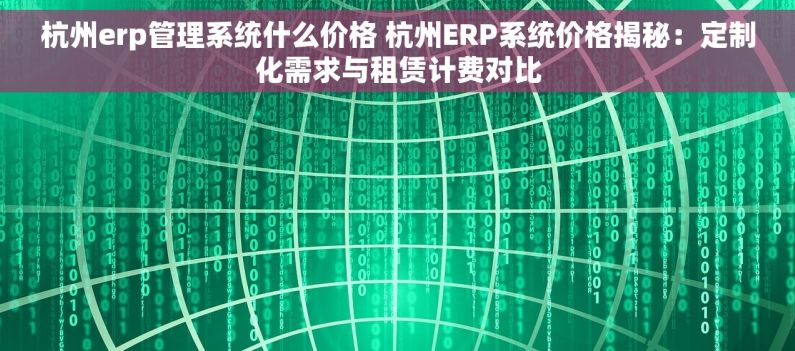 杭州erp管理系统什么价格 杭州ERP系统价格揭秘：定制化需求与租赁计费对比