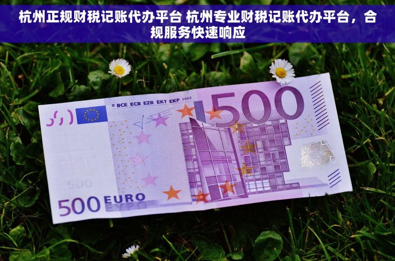 杭州正规财税记账代办平台 杭州专业财税记账代办平台，合规服务快速响应