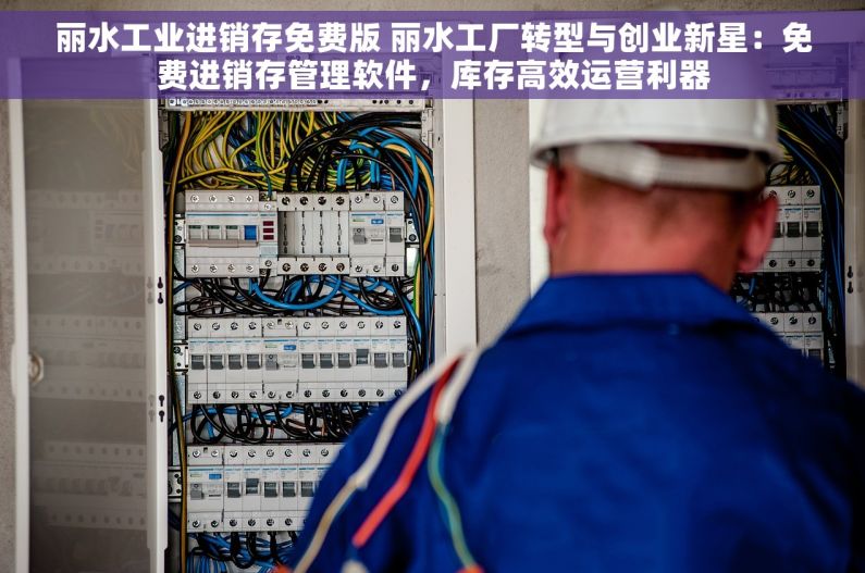 丽水工业进销存免费版 丽水工厂转型与创业新星：免费进销存管理软件，库存高效运营利器