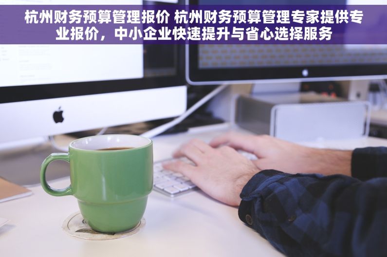 杭州财务预算管理报价 杭州财务预算管理专家提供专业报价，中小企业快速提升与省心选择服务