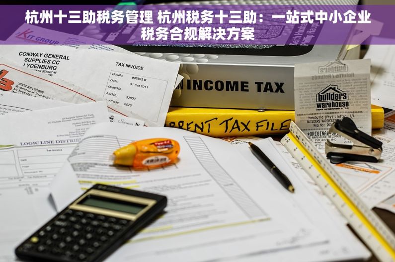杭州十三助税务管理 杭州税务十三助：一站式中小企业税务合规解决方案