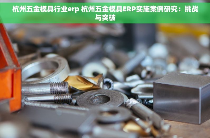 杭州五金模具行业erp 杭州五金模具ERP实施案例研究：挑战与突破