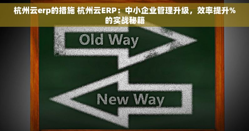 杭州云erp的措施 杭州云ERP：中小企业管理升级，效率提升%的实战秘籍