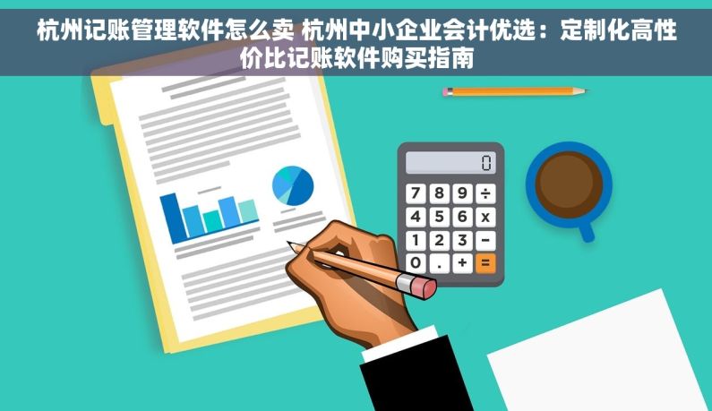 杭州记账管理软件怎么卖 杭州中小企业会计优选：定制化高性价比记账软件购买指南