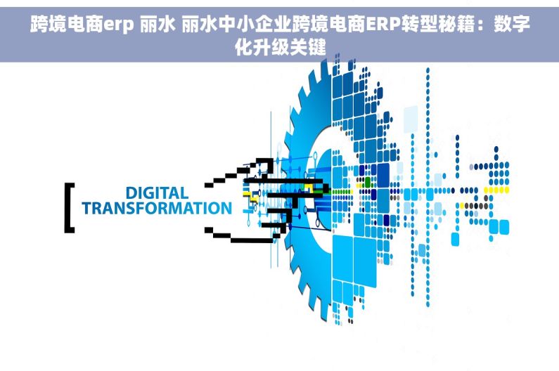 跨境电商erp 丽水 丽水中小企业跨境电商ERP转型秘籍：数字化升级关键