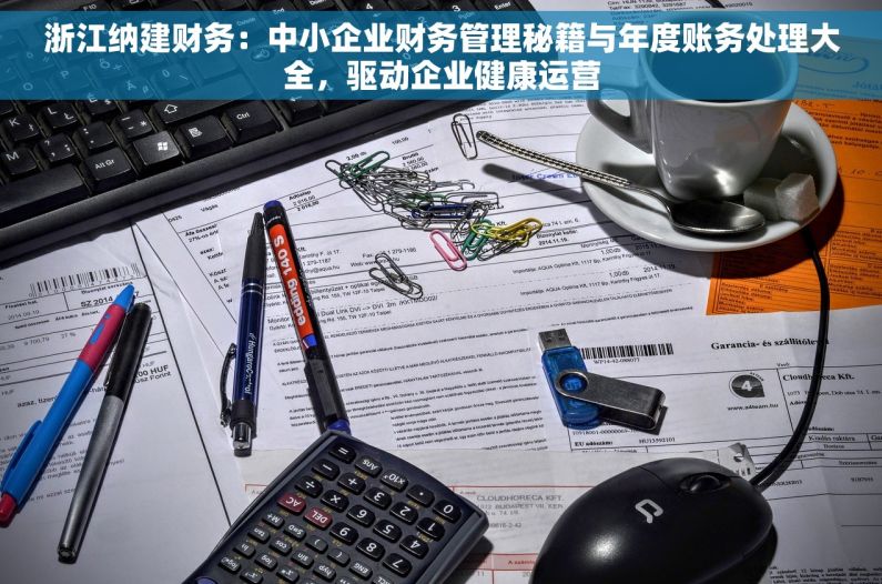 浙江纳建财务：中小企业财务管理秘籍与年度账务处理大全，驱动企业健康运营