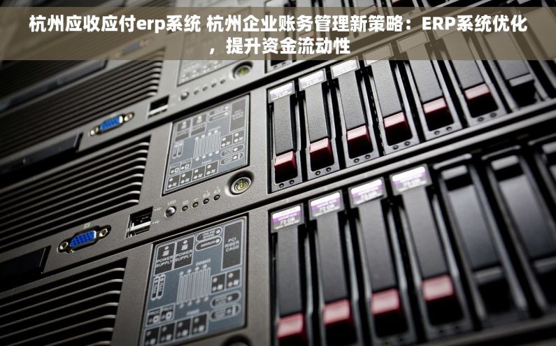 杭州应收应付erp系统 杭州企业账务管理新策略：ERP系统优化，提升资金流动性