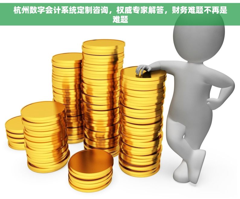杭州数字会计系统定制咨询，权威专家解答，财务难题不再是难题