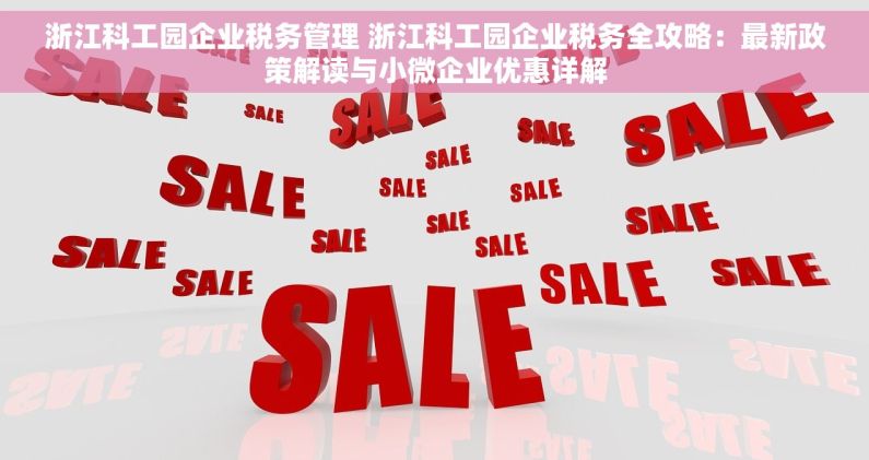 浙江科工园企业税务管理 浙江科工园企业税务全攻略：最新政策解读与小微企业优惠详解