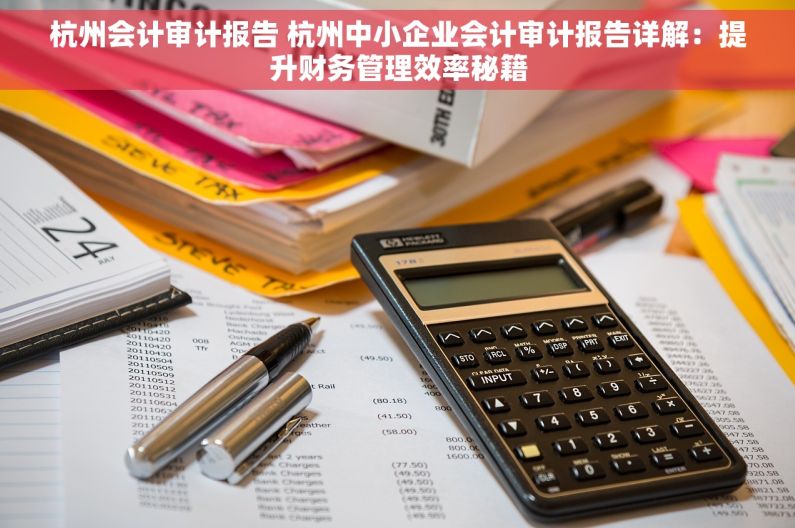 杭州会计审计报告 杭州中小企业会计审计报告详解：提升财务管理效率秘籍