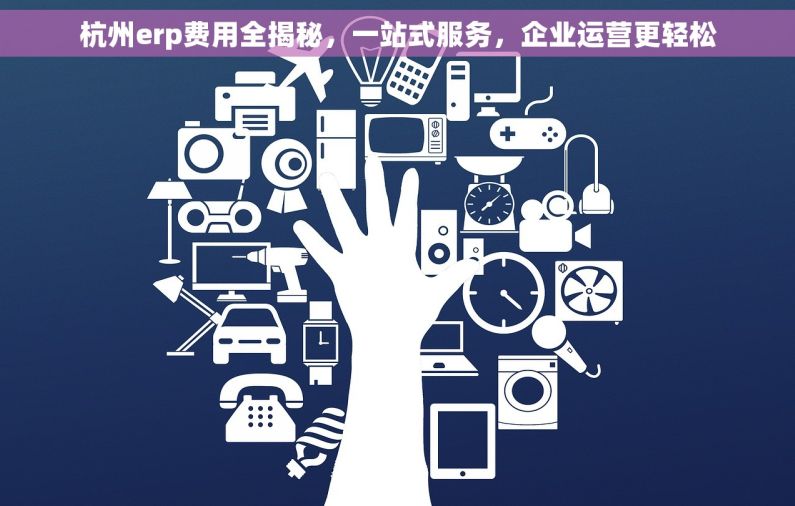 杭州erp费用全揭秘，一站式服务，企业运营更轻松