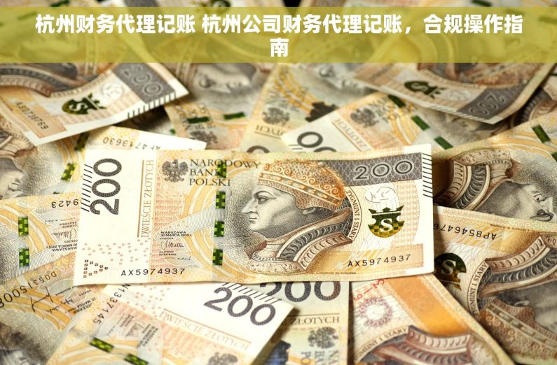 杭州财务代理记账 杭州公司财务代理记账，合规操作指南