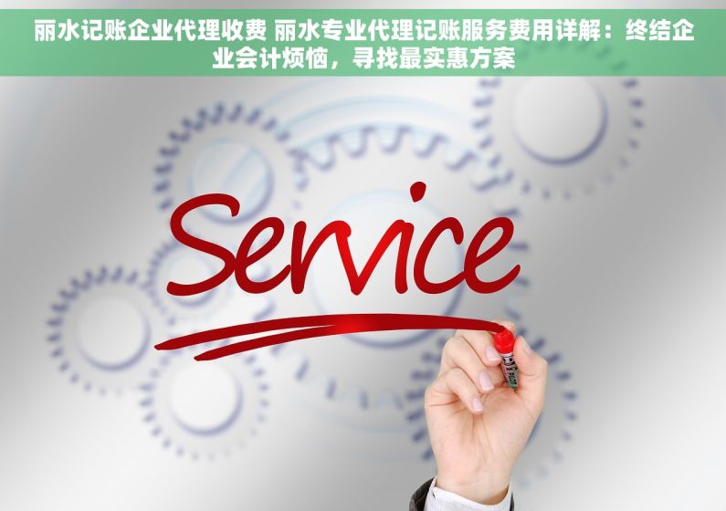 丽水记账企业代理收费 丽水专业代理记账服务费用详解：终结企业会计烦恼，寻找最实惠方案