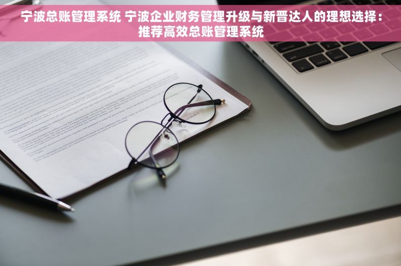宁波总账管理系统 宁波企业财务管理升级与新晋达人的理想选择：推荐高效总账管理系统