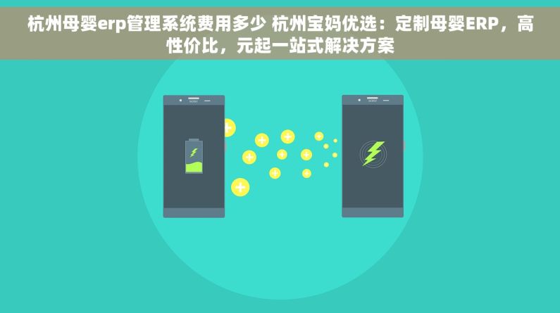 杭州母婴erp管理系统费用多少 杭州宝妈优选：定制母婴ERP，高性价比，元起一站式解决方案
