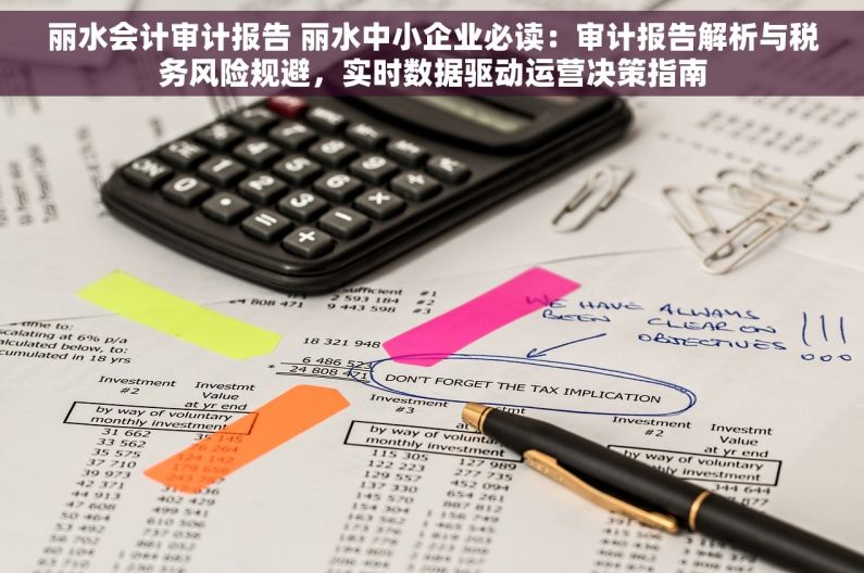 丽水会计审计报告 丽水中小企业必读：审计报告解析与税务风险规避，实时数据驱动运营决策指南
