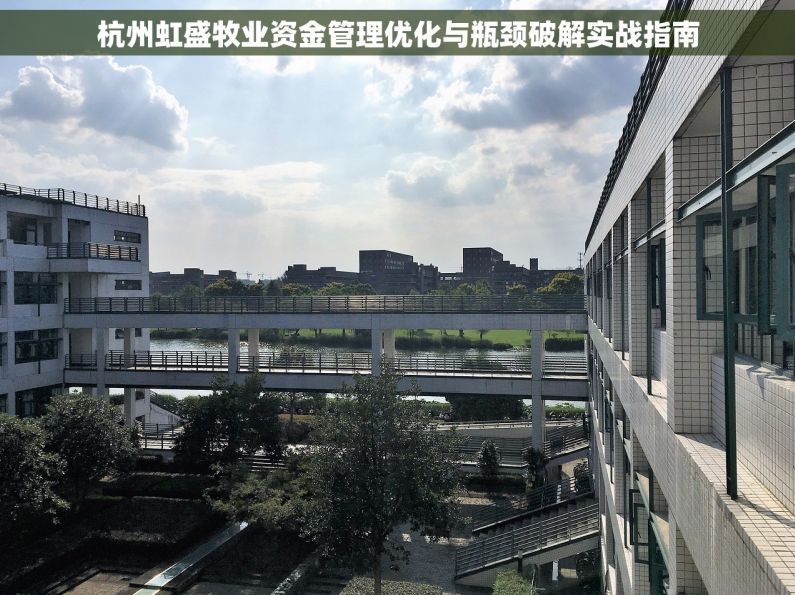 杭州虹盛牧业资金管理优化与瓶颈破解实战指南