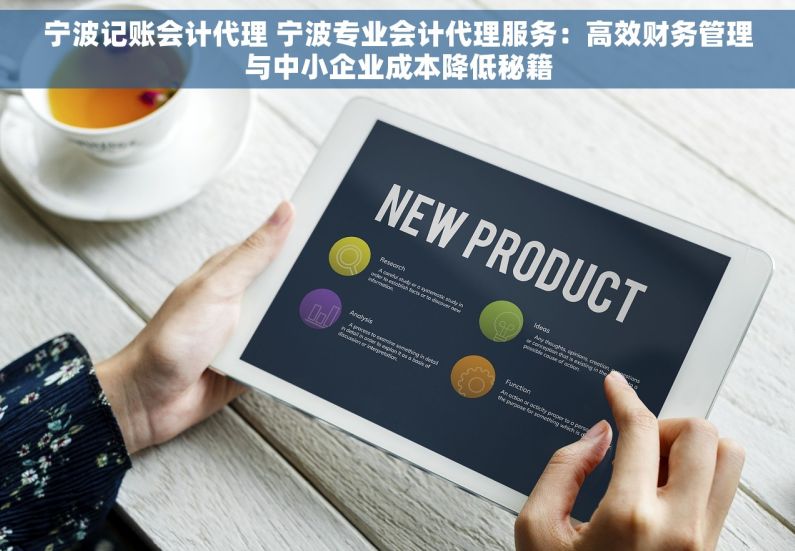 宁波记账会计代理 宁波专业会计代理服务：高效财务管理与中小企业成本降低秘籍