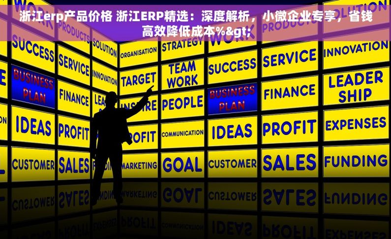 浙江erp产品价格 浙江ERP精选：深度解析，小微企业专享，省钱高效降低成本%>