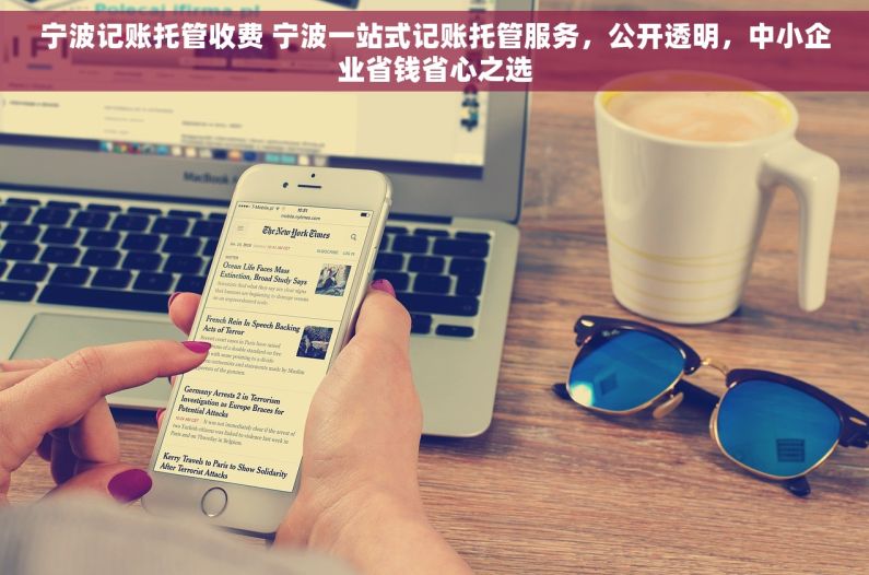 宁波记账托管收费 宁波一站式记账托管服务，公开透明，中小企业省钱省心之选