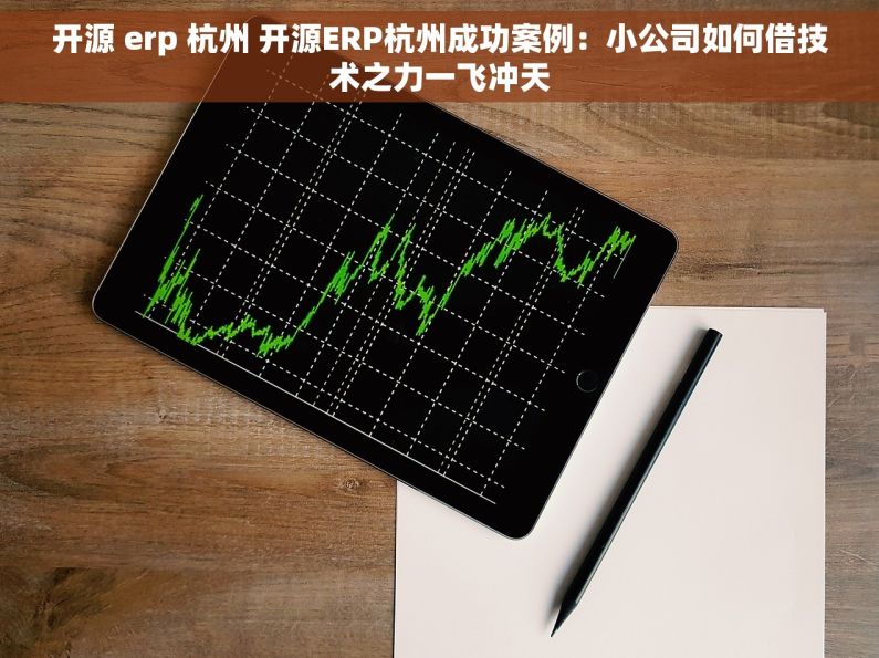 开源 erp 杭州 开源ERP杭州成功案例：小公司如何借技术之力一飞冲天