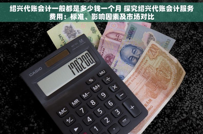 绍兴代账会计一般都是多少钱一个月 探究绍兴代账会计服务费用：标准、影响因素及市场对比