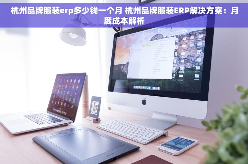 杭州品牌服装erp多少钱一个月 杭州品牌服装ERP解决方案：月度成本解析