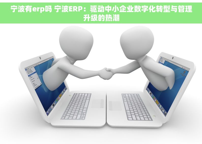 宁波有erp吗 宁波ERP：驱动中小企业数字化转型与管理升级的热潮