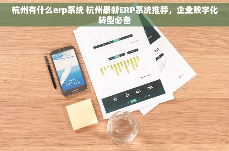 杭州有什么erp系统 杭州最新ERP系统推荐，企业数字化转型必备