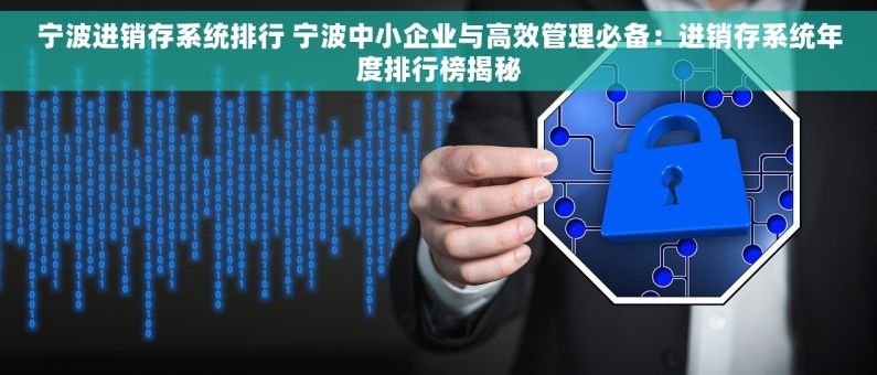宁波进销存系统排行 宁波中小企业与高效管理必备：进销存系统年度排行榜揭秘
