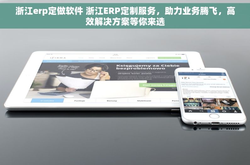 浙江erp定做软件 浙江ERP定制服务，助力业务腾飞，高效解决方案等你来选